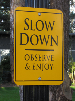 slow-down-observe-digital